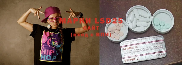 мдпв Ельня